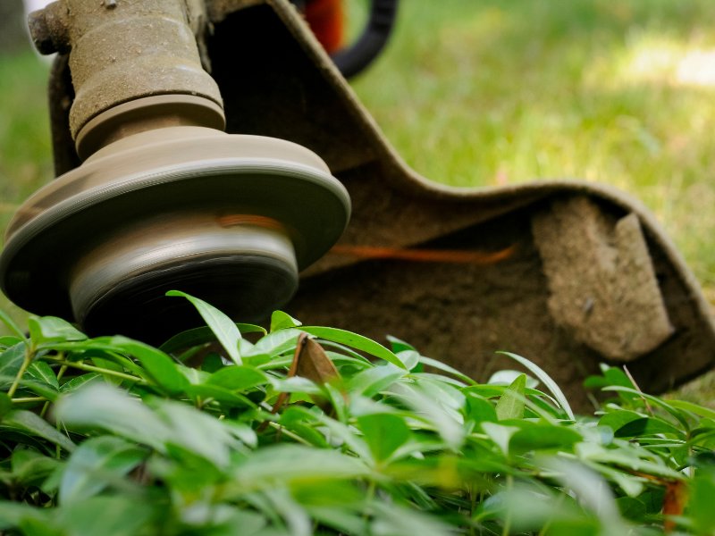 Phonak Serenity Choice Reusable Hearing Protection for WORK